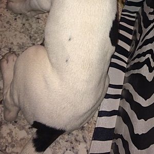 Meet your Posher, Younqq